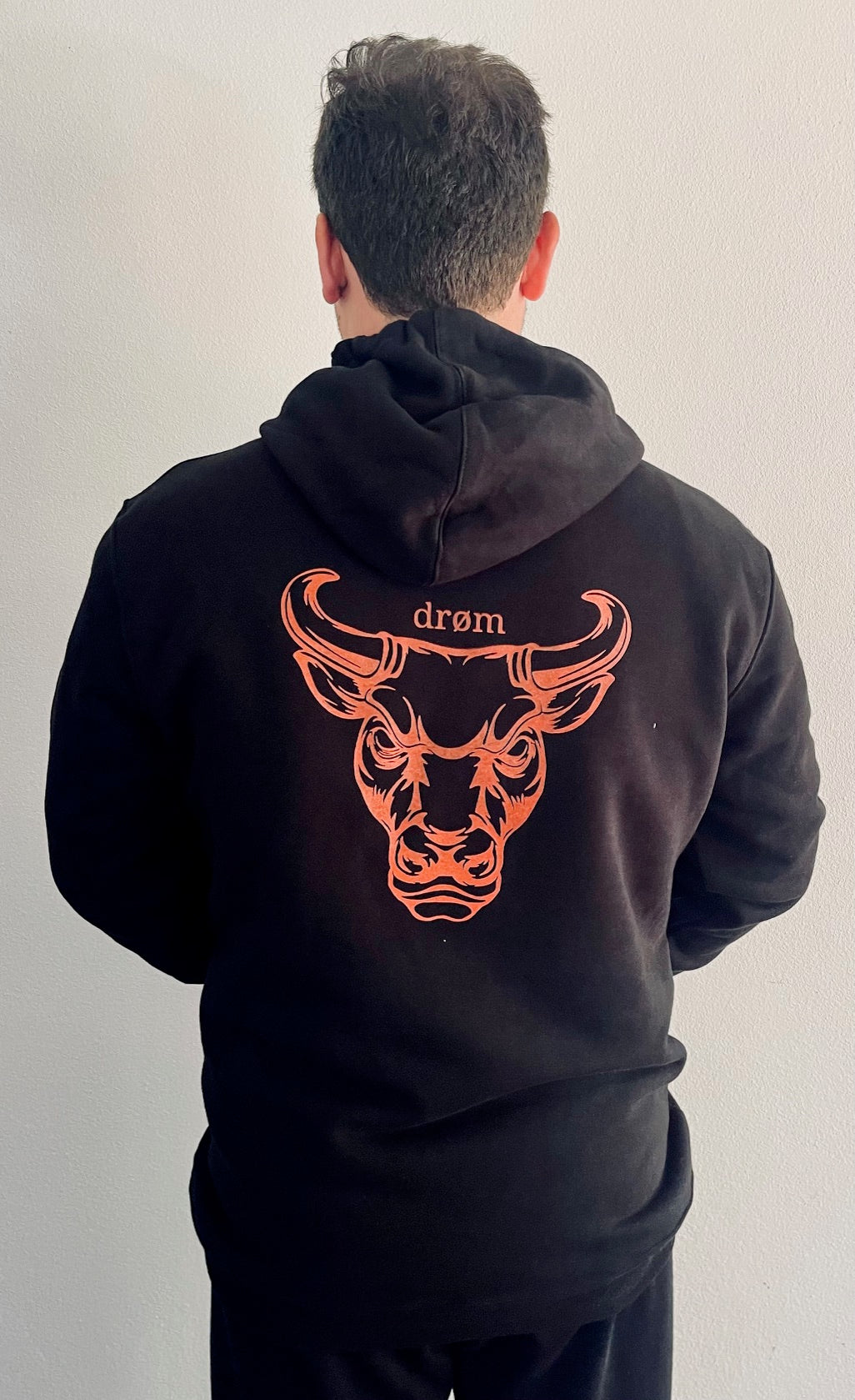 Hoodie - Red Bull design